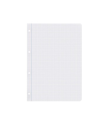 Recambio liderpapel a4 100 hojas papel reciclado 100 80g m2 cuadro 4mm con margen 4 taladros