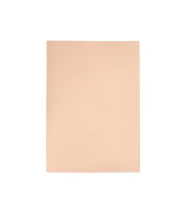 Cartulina liderpapel a4 180g m2 crema paquete de 255 hojas