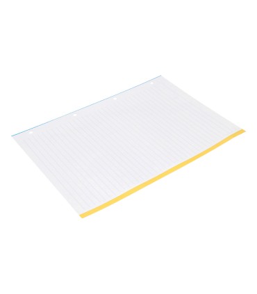 Recambio liderpapel a4 100 hojas 100g m2 rayado horizontal 4 taladros bandas de 5 colores antartik