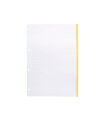 Recambio liderpapel a4 100 hojas 100g m2 rayado horizontal 4 taladros bandas de 5 colores antartik