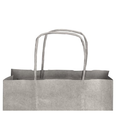 Bolsa papel q connect kraft plata l con asa retorcida 320x400x14 mm