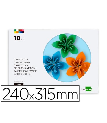 Bloc trabajos manuales liderpapel cartulina 240x315mm 10 hojas 5 colores neon 5 colores intensos