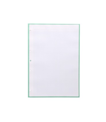 Recambio liderpapel a4 antartik 80 hojas 90g m2 cuadro 5 mm 4 taladros 1 banda marco color menta