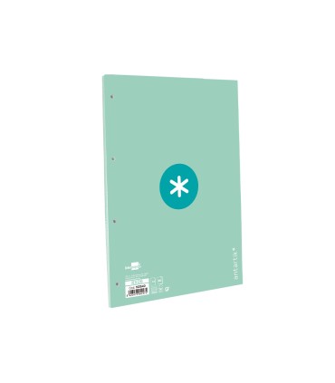 Recambio liderpapel a4 antartik 80 hojas 90g m2 cuadro 5 mm 4 taladros 1 banda marco color menta