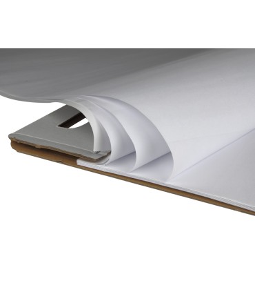 Bloc congreso liderpapel liso 630x840 mm 50 hojas 80g m2