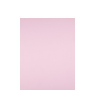 Cartulina liderpapel 50x65 cm 180g m2 rosa paquete de 25 hojas