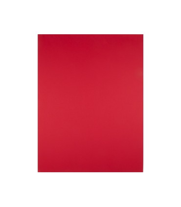 Cartulina liderpapel 50x65 cm 180g m2 rojo navidad paquete de 25 hojas