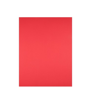 Cartulina liderpapel 50x65 cm 180g m2 rojo paquete de 25 hojas