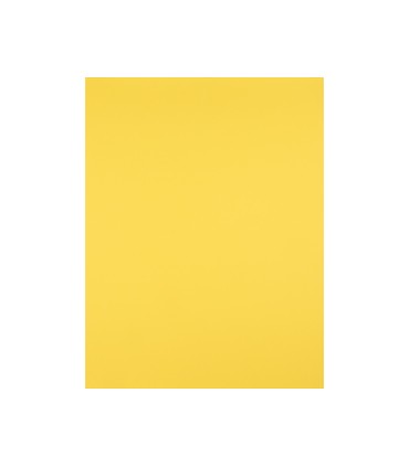 Cartulina liderpapel 50x65 cm 180g m2 amarillo limon paquete de 25 hojas