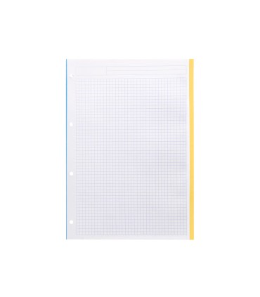 Recambio liderpapel a4 100 hojas 100g m2 cuadro 5 mm 4 taladros bandas de 5 colores antartik