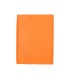 Carpeta liderpapel gomas plastico folio solapas color naranja