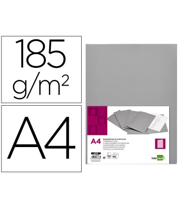 Subcarpeta liderpapel a4 gris 180g m2