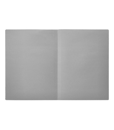 Subcarpeta liderpapel folio gris 180g m2