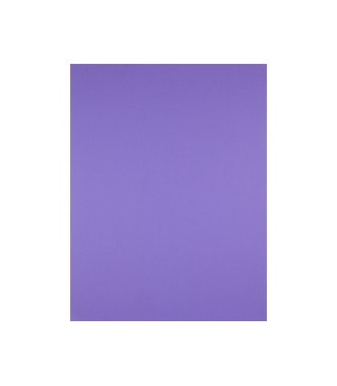 Cartulina liderpapel 50x65 cm 180 gr purpura paquete de 25 hojas