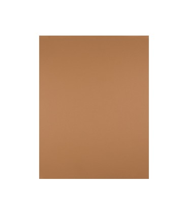 Cartulina liderpapel 50x65 cm 180 gr marron escolar paquete de 25 hojas