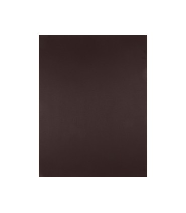 Cartulina liderpapel 50x65 cm 180 gr marron paquete de 25 hojas