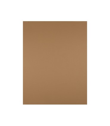 Cartulina liderpapel 50x65 cm 180 gr marron escolar unidad