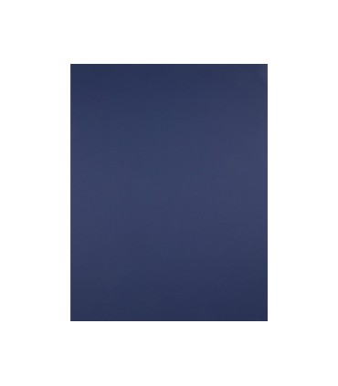 Cartulina liderpapel 50x65 cm 240g m2 azul zafiro paquete de 25 hojas