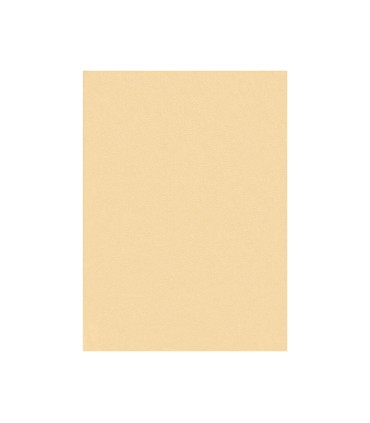 Fieltro liderpapel 50x70cm color carne 160g m2