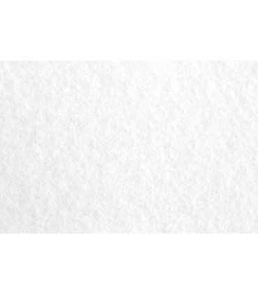 Fieltro liderpapel 50x70cm blanco 160g m2