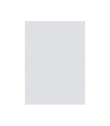 Fieltro liderpapel 50x70cm blanco 160g m2