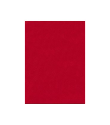 Fieltro liderpapel 50x70cm rojo 160g m2