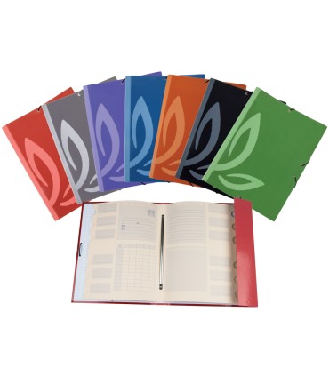 Carpeta liderpapel gomas carton forrado clasificadora folio 7 colores surtidos