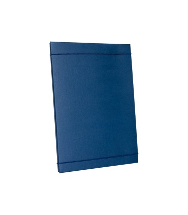 Carpeta proyectos liderpapel extensible gofrada folio