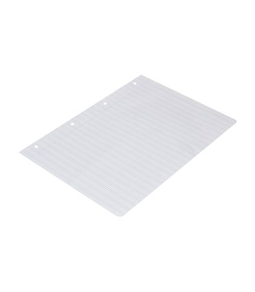 Recambio liderpapel a4 pautaguia 100 hojas 75 g cuadriculado pautado 3 mm con margen 4 taladros