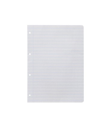 Recambio liderpapel a4 pautaguia 100 hojas 75 g cuadriculado pautado 3 mm con margen 4 taladros