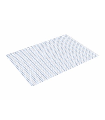 Recambio liderpapel cuarto pautaguia 100 hojas 75 g cuadriculado pautado 3 mm con margen 6 taladros