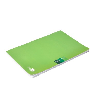 Libreta liderpapel scriptus a4 48 hojas 90g m2 cuadro 4mm con margen