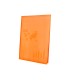 Carpeta liderpapel escaparate 47481 10 fundas polipropileno traslucida din a4 naranja frosty