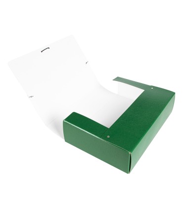 Carpeta proyectos liderpapel folio lomo 90mm carton gofrado verde