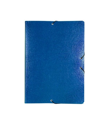 Carpeta proyectos liderpapel folio lomo 90mm carton gofrado azul