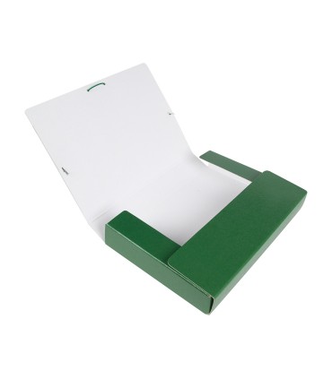 Carpeta proyectos liderpapel folio lomo 50mm carton gofrado verde