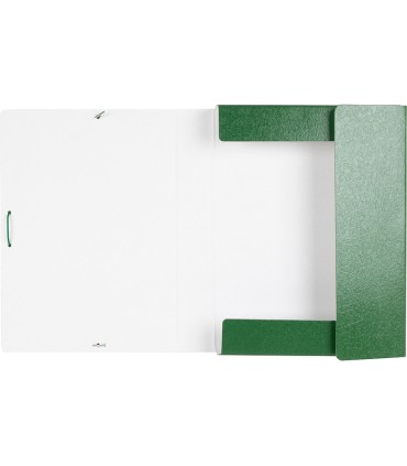 Carpeta proyectos liderpapel folio lomo 50mm carton gofrado verde