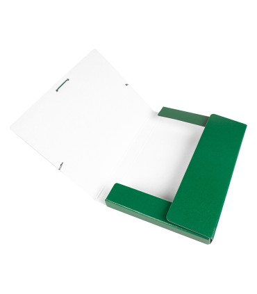 Carpeta proyectos liderpapel folio lomo 30mm carton gofrado verde