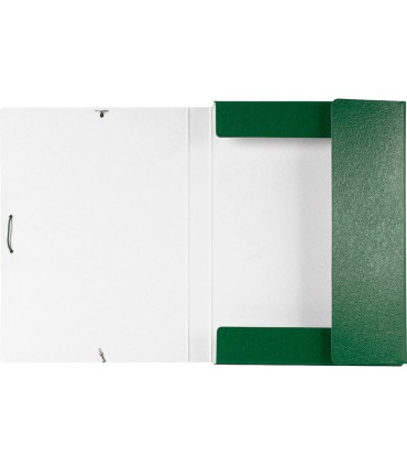 Carpeta proyectos liderpapel folio lomo 30mm carton gofrado verde