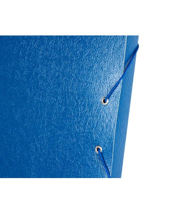 Carpeta proyectos liderpapel folio lomo 30mm carton gofrado azul