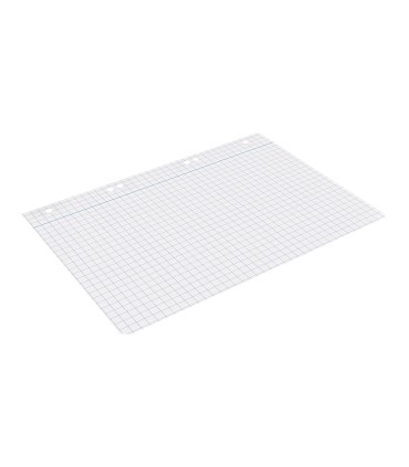 Recambio liderpapel cuarto 100 hojas 60g m2 cuadro 8mm con margen 6 taladros