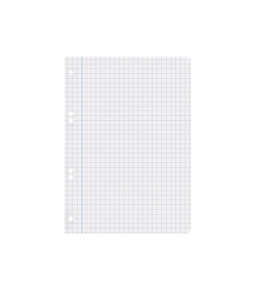 Recambio liderpapel cuarto 100 hojas 60g m2 cuadro 8mm con margen 6 taladros