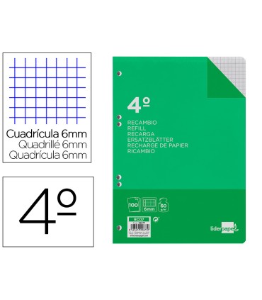 Recambio liderpapel cuarto 100 hojas 60g m2 cuadro 6mm con margen 6 taladros