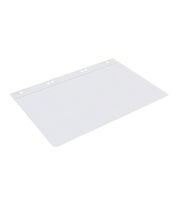 Recambio liderpapel cuarto 100 hojas 60g m2 cuadro 4mm con margen 6 taladros