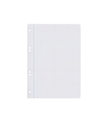 Recambio liderpapel cuarto 100 hojas 60g m2 cuadro 4mm con margen 6 taladros