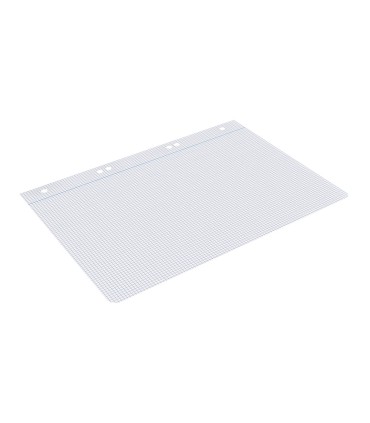 Recambio liderpapel cuarto 100 hojas 60g m2 cuadro 3mm con margen 6 taladros