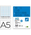 Recambio liderpapel a5 100 h 100g/m2 cuadro 5mm con margen 6 taladros