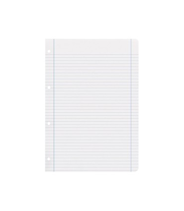 Recambio liderpapel a4 100 hojas 100g m2 horizontal con doble margen 4 taladros