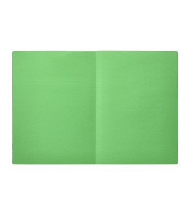 Subcarpeta liderpapel folio verde intenso 180g m2