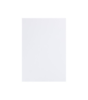 Cartulina liderpapel 50x65 cm 180g m2 blanco